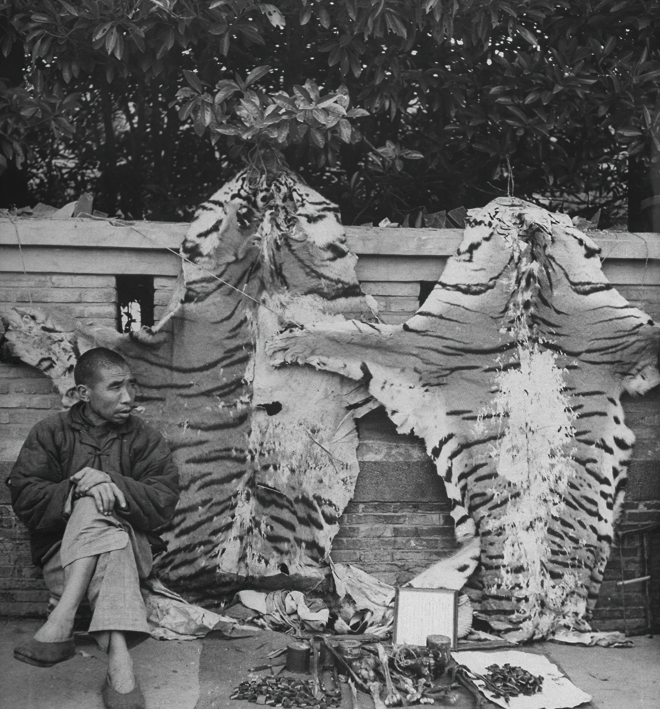 八十年前的中药,以前80年代的药品