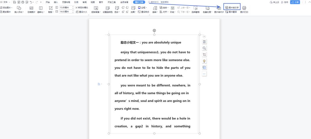 一键图片排版word,图片文字转换成word后怎么排版