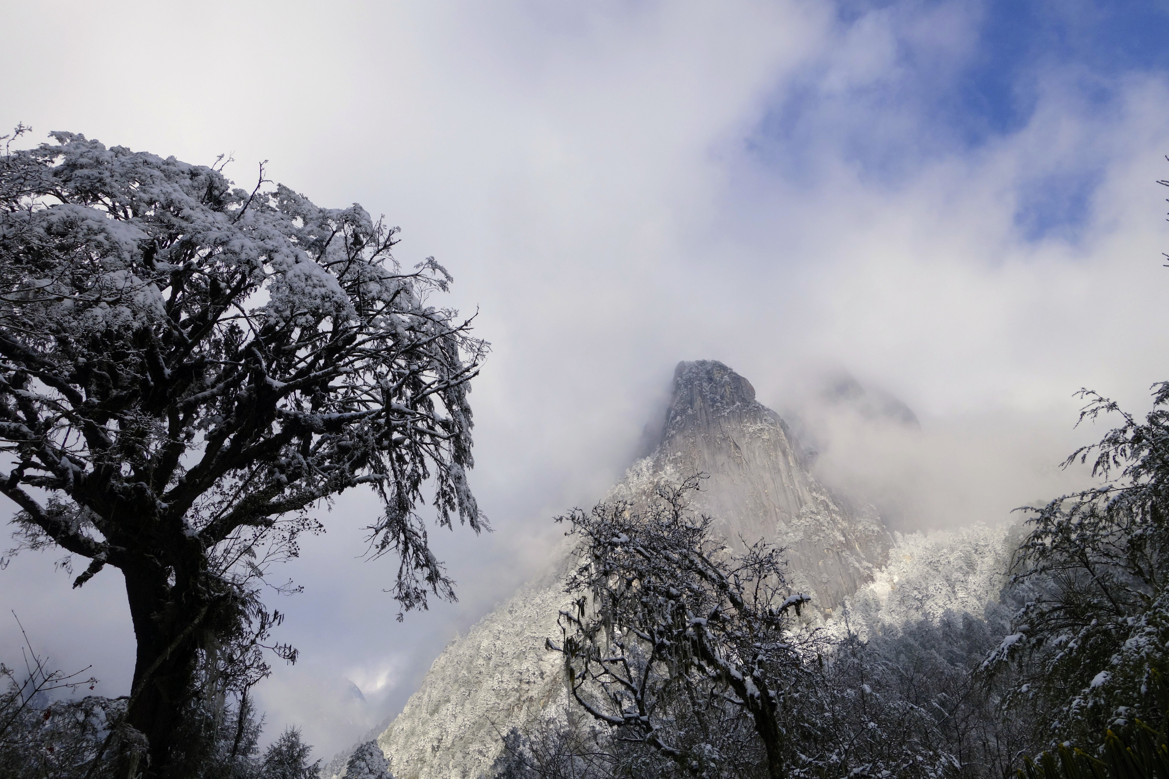 川西圣境游玩攻略,甘孜燕子沟攻略