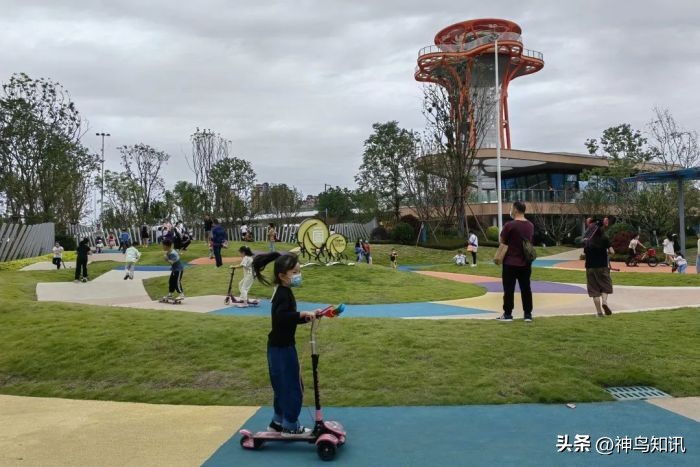 成都首届公园城市网红打卡点,成都周边公园网红打卡景点