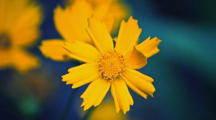 开学季厌学,开学厌学症