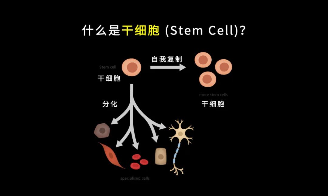 一夜白头的坏处,一夜白头导致的后果