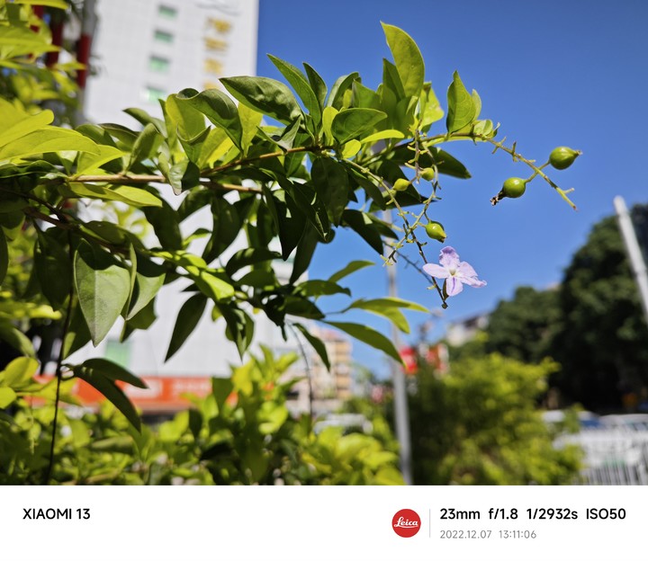 小米13徕卡和小米13旗舰,小米13小米体验店价格