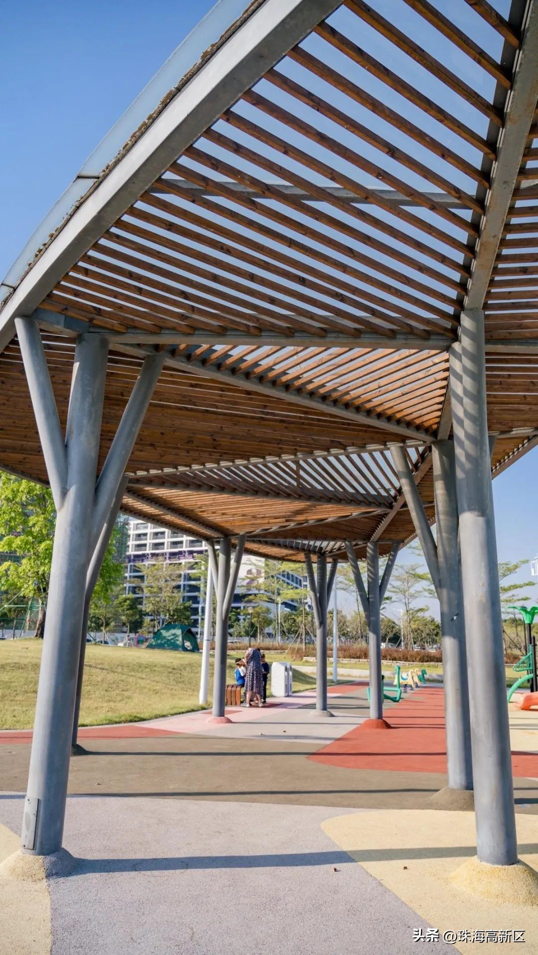 遛娃必看！这些春日色彩，就藏在高新区的公园里…