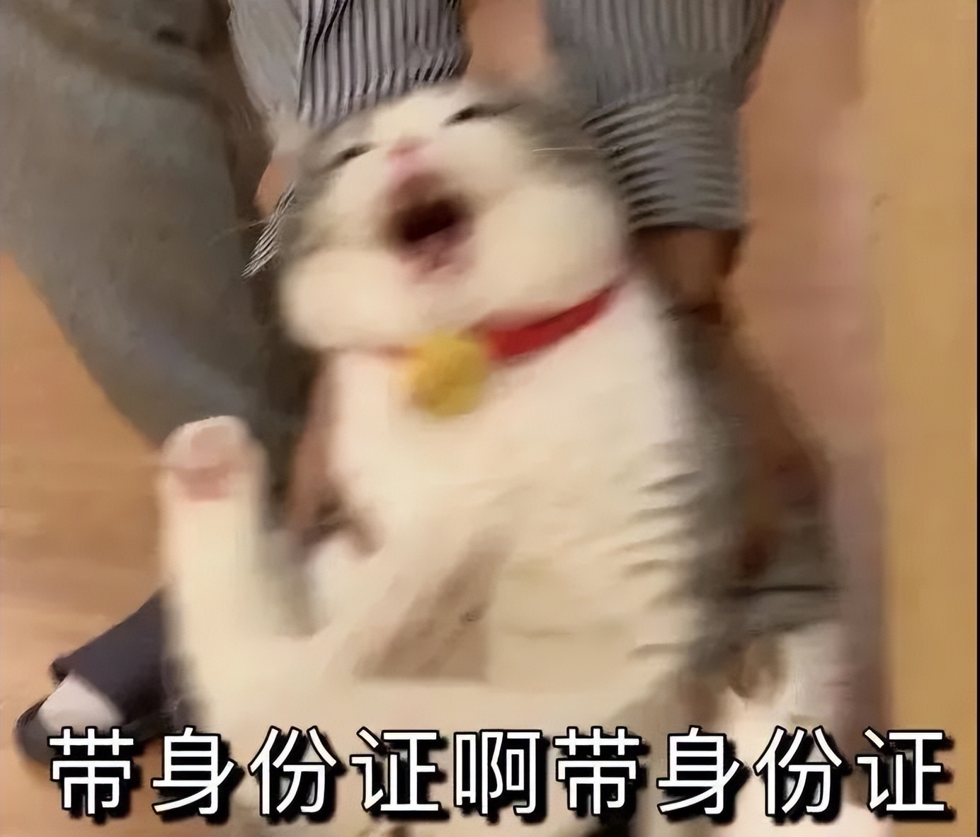 四六级注意事项干货,快来看英语四六级通关秘籍吧