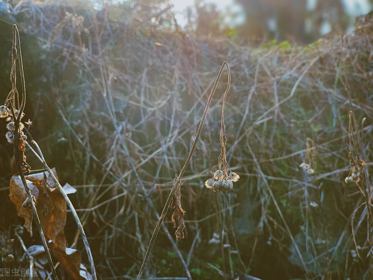 当年抗疫的回忆,回望抗疫历程各种艰辛历历在目