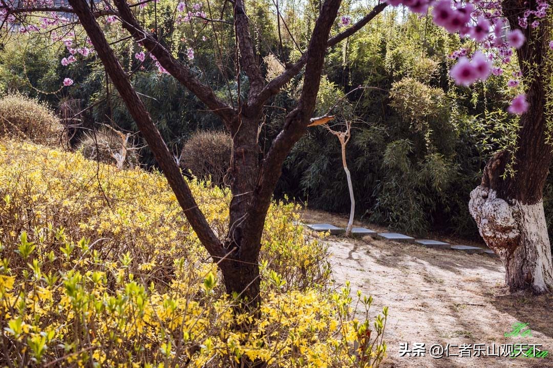 丧家的资本家乏走狗原文,丧家的资本家乏走狗指的是谁