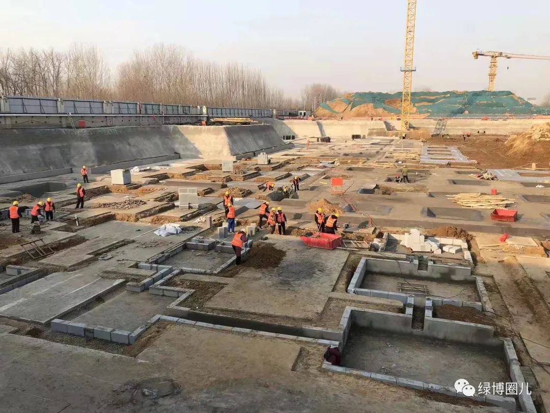 郑州外国语学校最新消息,郑州外国语学校绿博校区