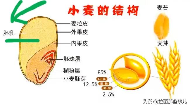 雪花粉和麦芯区别,面粉麦芯和雪花粉有什么区别