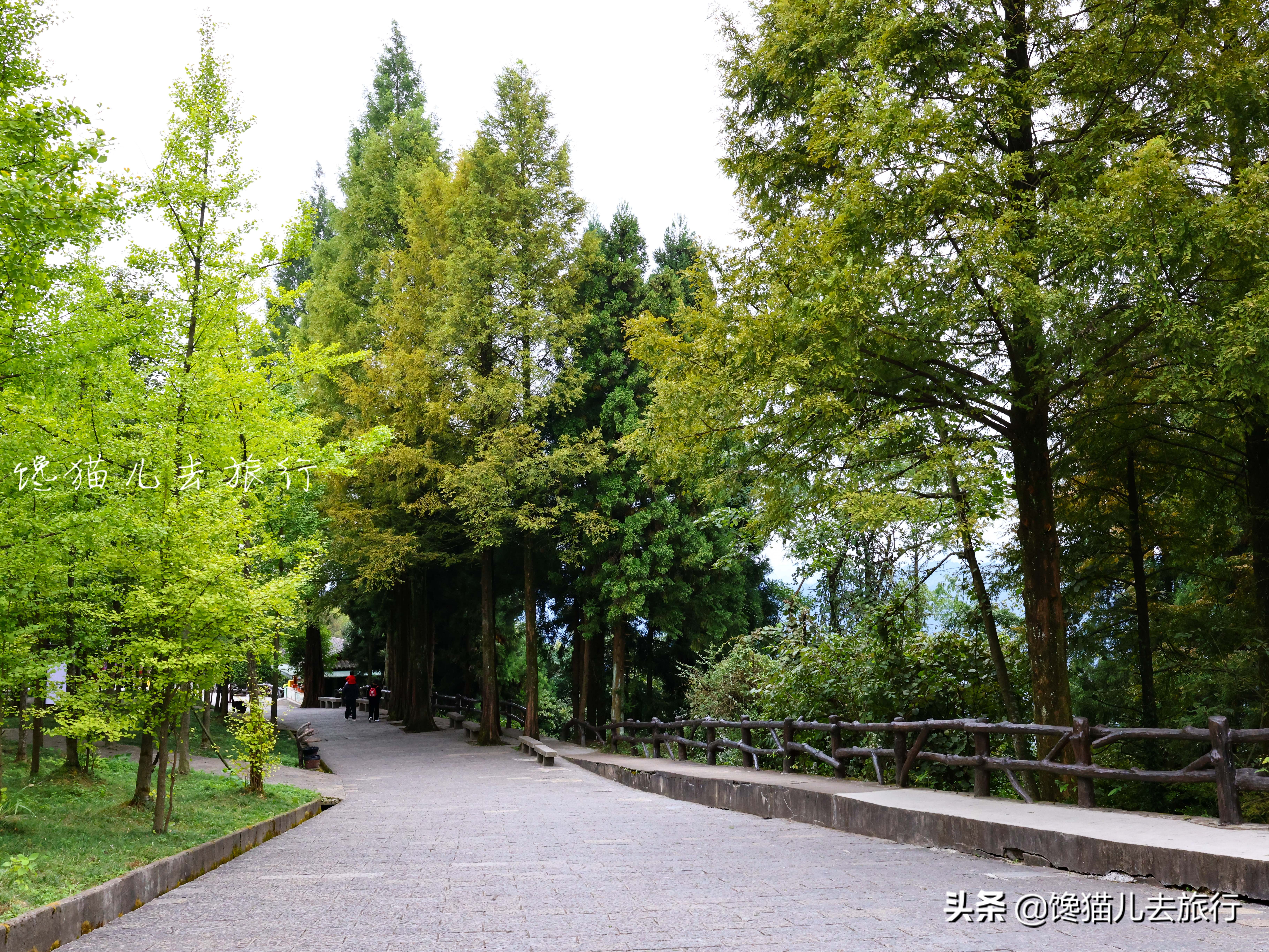 去张家界有什么忌讳,去张家界要注意什么安全