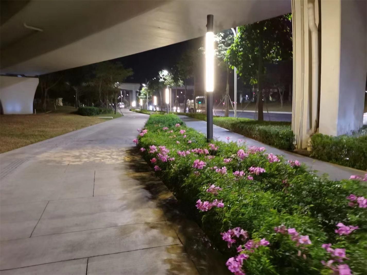 肥胖的健身教练,变胖健身教练