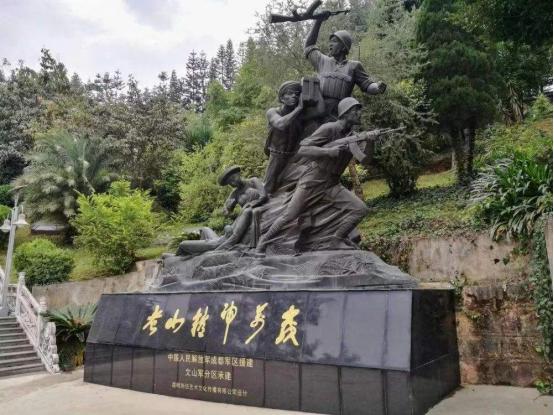 老山被俘的战士现状,老山轮战时我军被俘人员