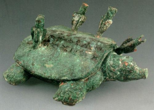 鼋和鳖龟的区别,鼋和乌龟的区别