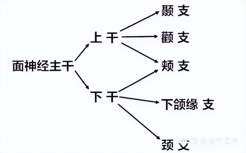 面瘫治疗难不难,面瘫流眼泪怎么治疗