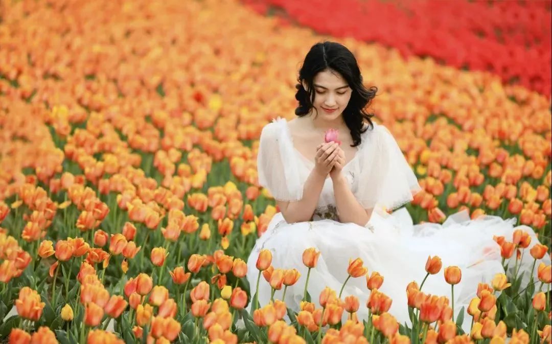 山东有海有雪有山有平原,山东有没有广阔草原