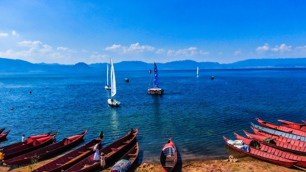 抖音创业文案吸引人的句子热门,抖音新年祝福文案吸引人的句子