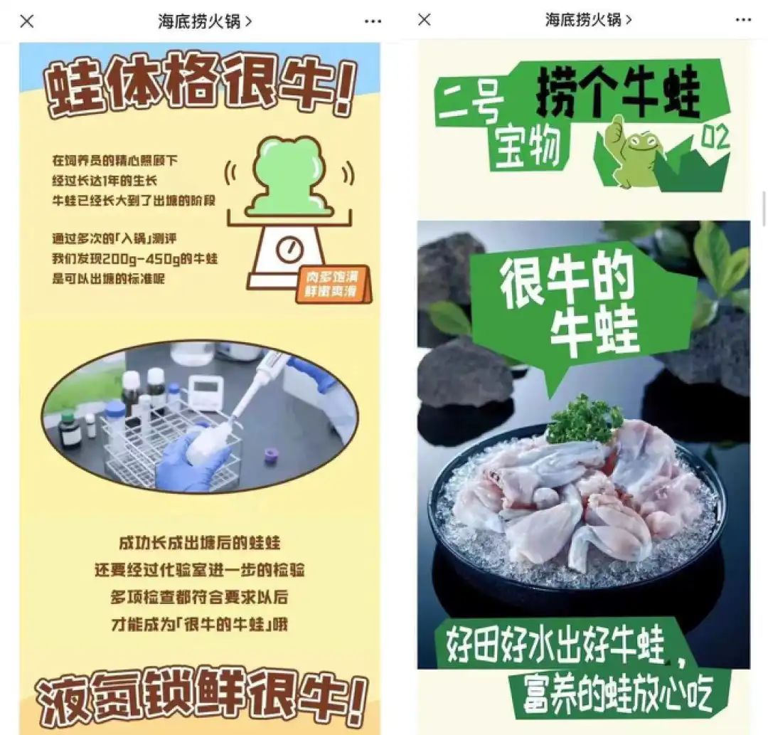 大连牛蛙自助火锅无限量,自助牛蛙火锅的牛蛙成本价