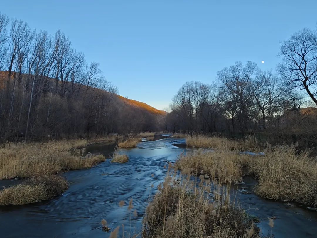 vivox90pro和小米12sultra测评,vivox90pro+和小米12sultra