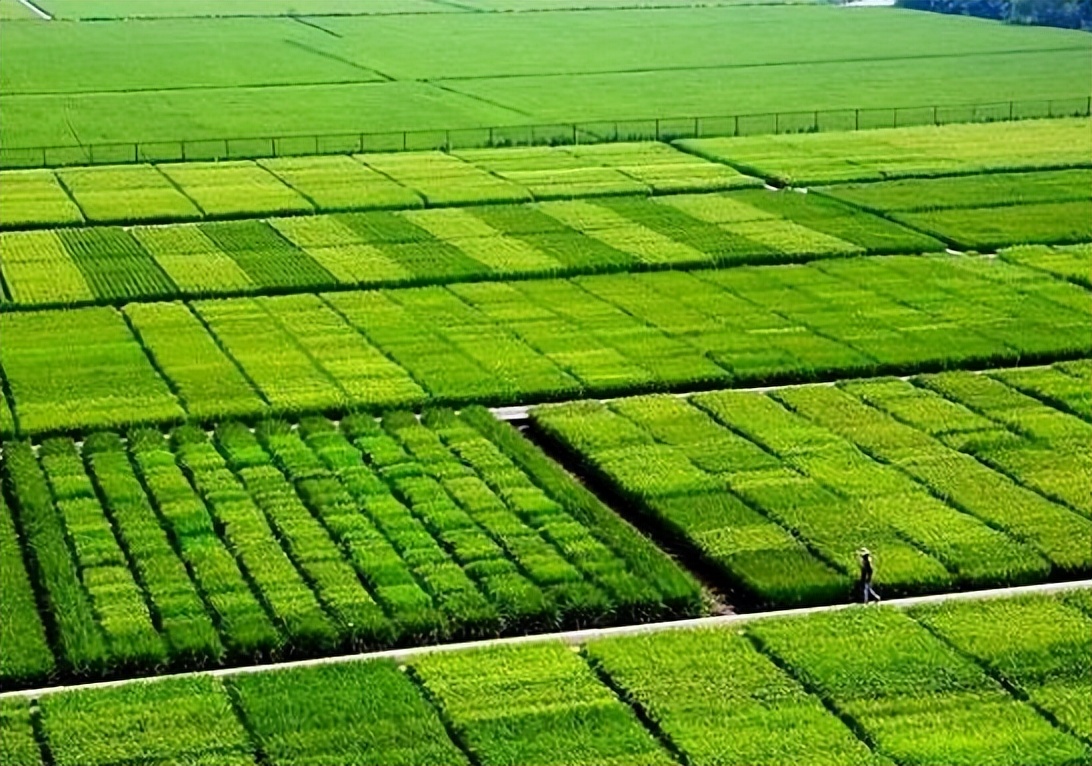 农业技术进步的现状思考与对策,农业科技发展现状和趋势