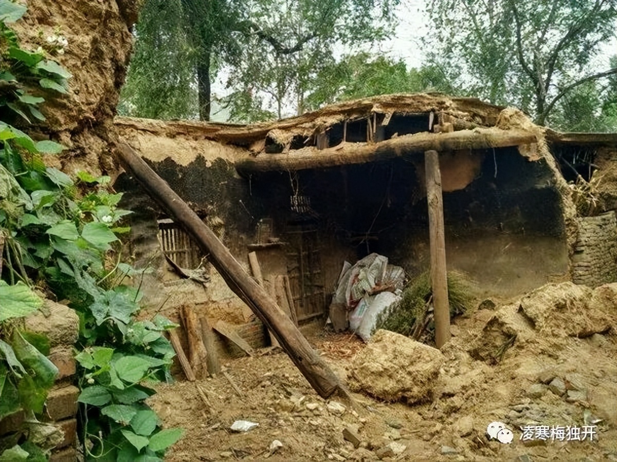 我的奇趣岁月——小学