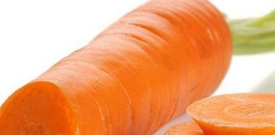 狗癣的症状与治疗方法,狗耳朵后面起癣怎么办