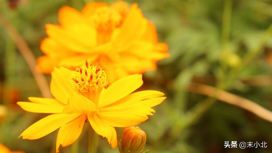 人生感悟最苦的句子,人生最苦的十年后的感悟