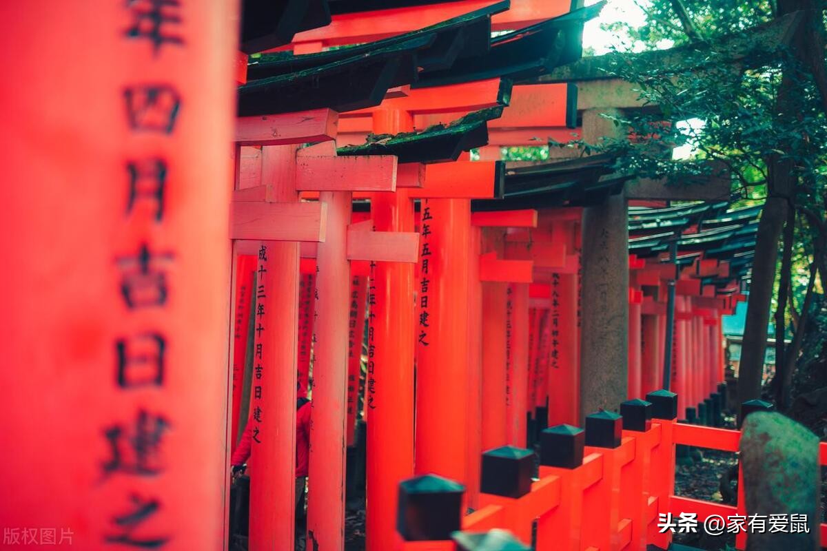 日本口腔医学留学攻略,日本留学吃饭详细攻略