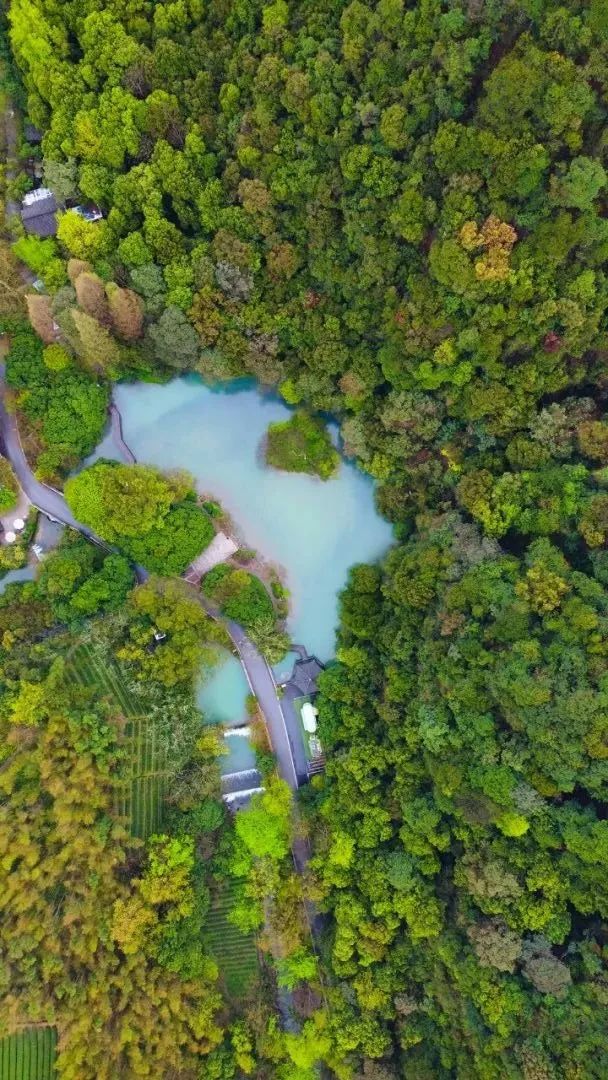 浙江全面接轨上海,杭州纳入上海都市圈有什么好处