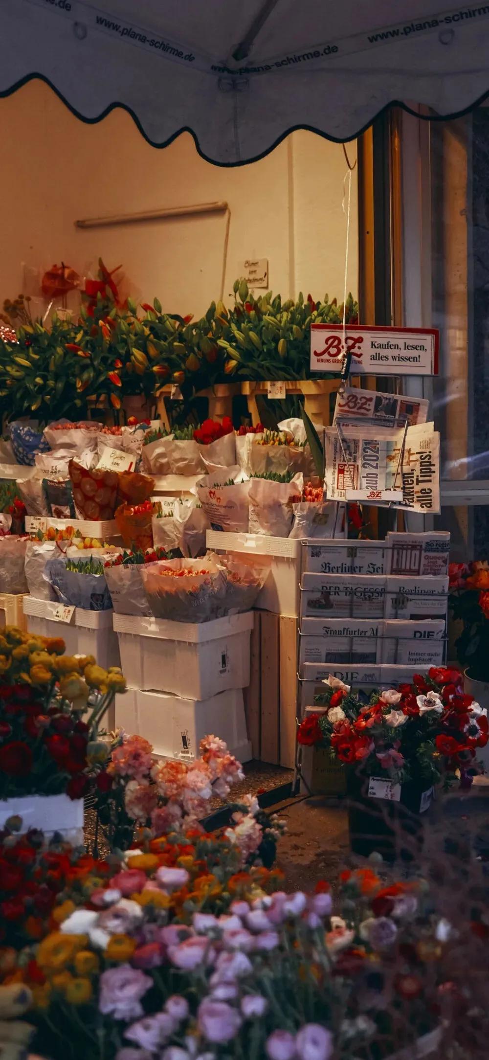 刘同孤独虽败犹荣,刘同经典语录你的孤独虽败犹荣