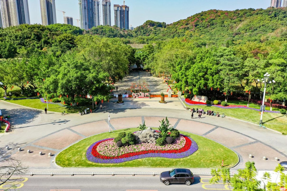 创新谷体育公园,创新公园体育场