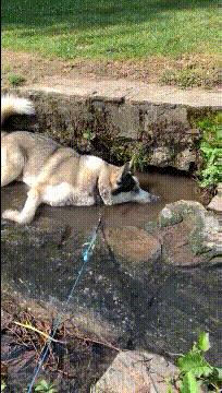 杭州最美老板娘视频,最美老板娘网友连夜赶往现场