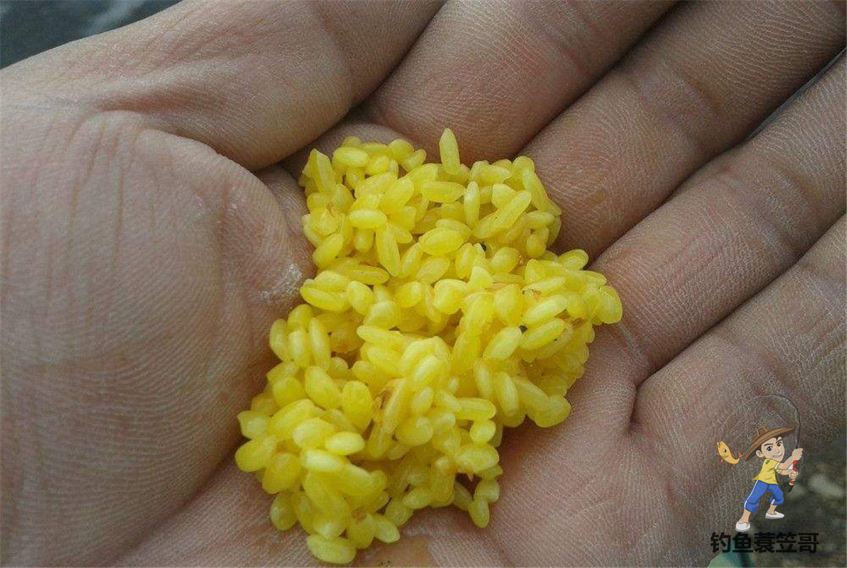冬季野钓鲫鱼用什么窝料最好用,哪种冬季野钓鲫鱼窝料最好用