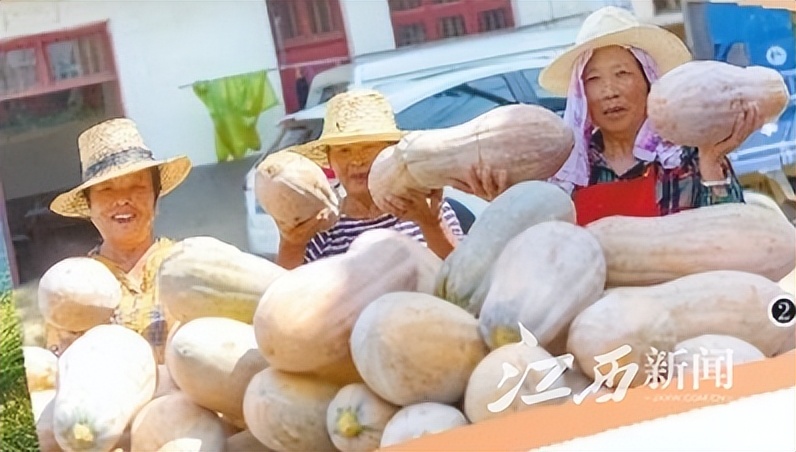 央视中国农民丰收节江西省,中国农民丰收节江西活动实况转播