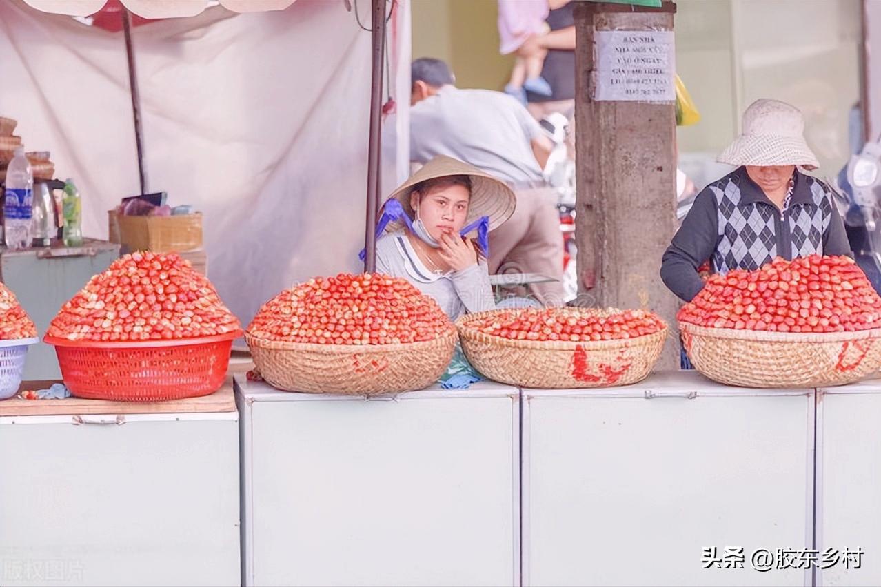 秋月梨滞销求助,苹果梨为什么市场上没有了