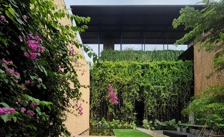 typology涓枃,typology