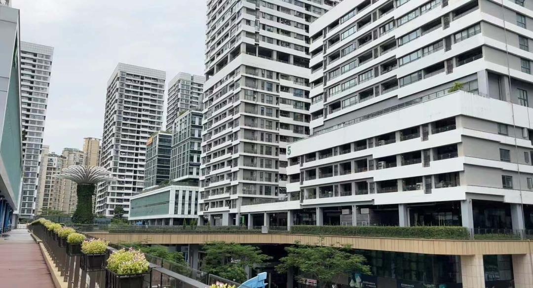 深圳水泥森林,深圳湾环境怎么样