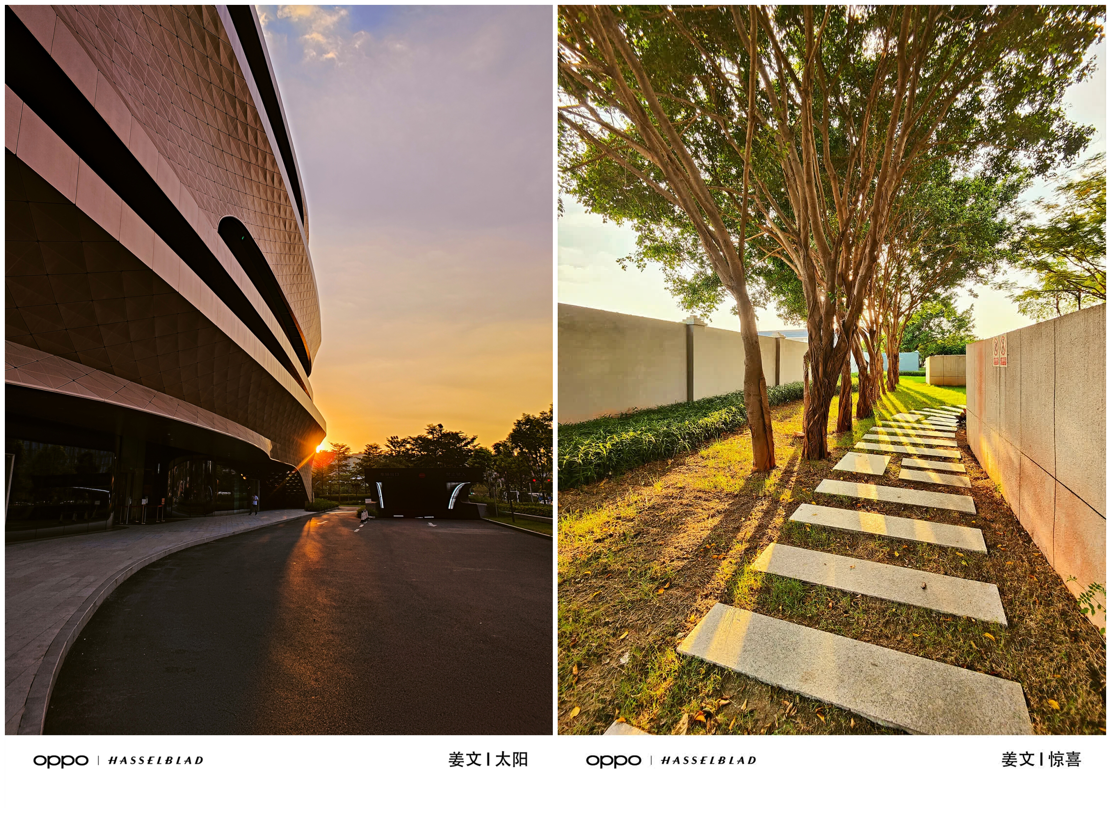 双芯加持的findx5pro,findx5pro是混合变焦还是光变