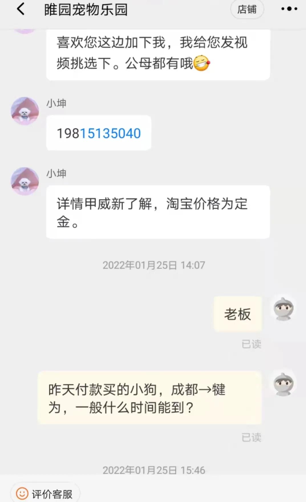 揭秘黑心宠物店卖的猫狗都不长命,曝光卖狗无良商家