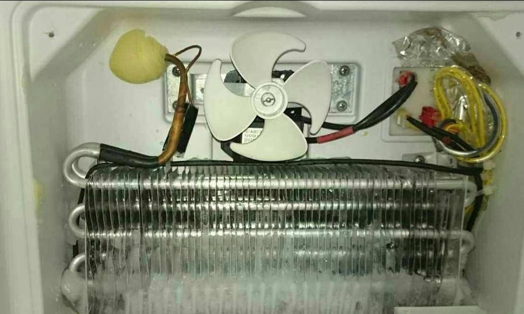 如果给我一次机会500字作文,假如给我一次机会五年级作文