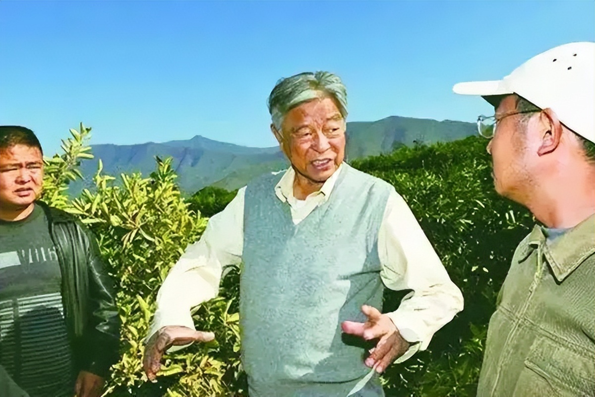 盘点那些中国绝版老香烟,中国绝版老香烟