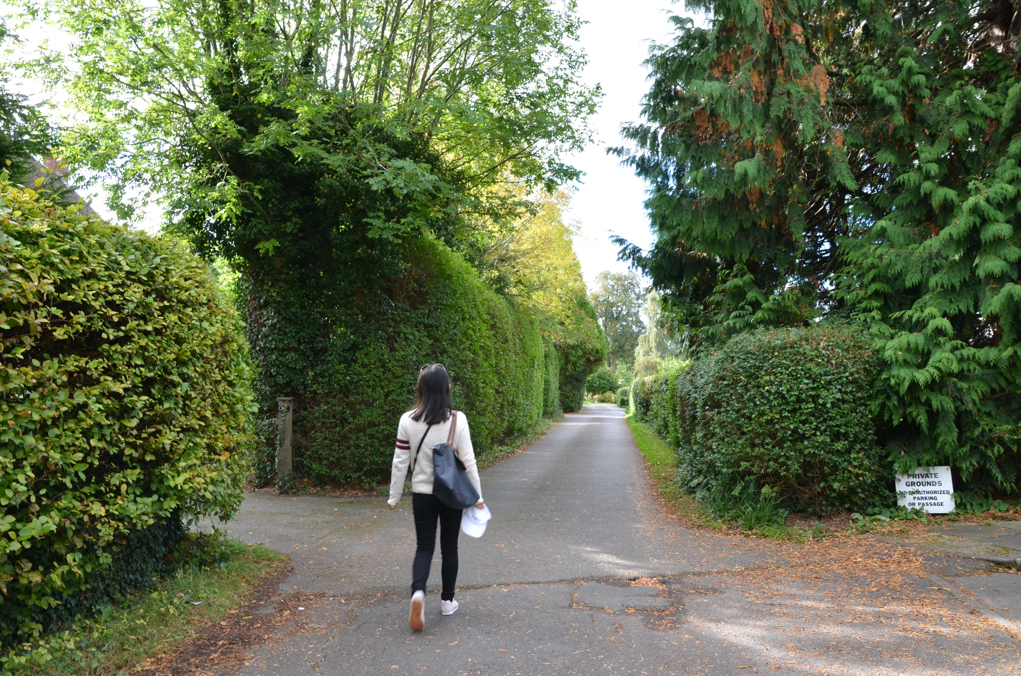 英国旅行记之爱丁堡,英国切尔滕纳姆