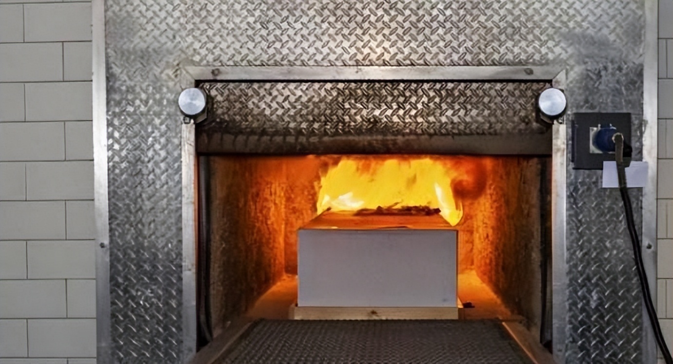 人死火化是浪费资源？动物死了进入生态循环，人类却打破自然规律