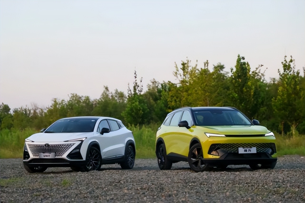 大魔王vs霸王,大魔王与小霸王