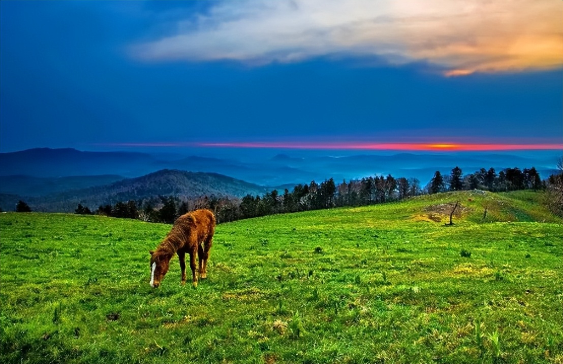 吉林白山九中毕业旅行,毕业旅行就去云南