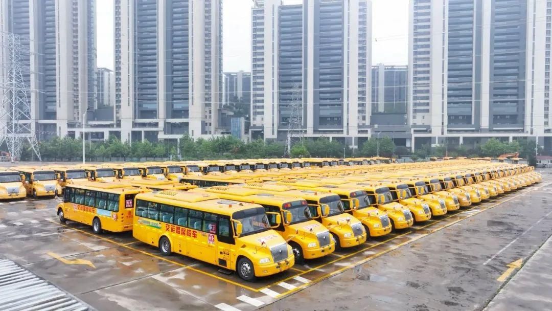 幼儿园十年变迁重大历程和成果,回顾十年间的成长跟经历