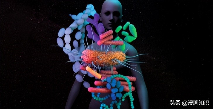 猫会感染人的疾病的图片,猫病毒检测cpr可以测出什么病毒