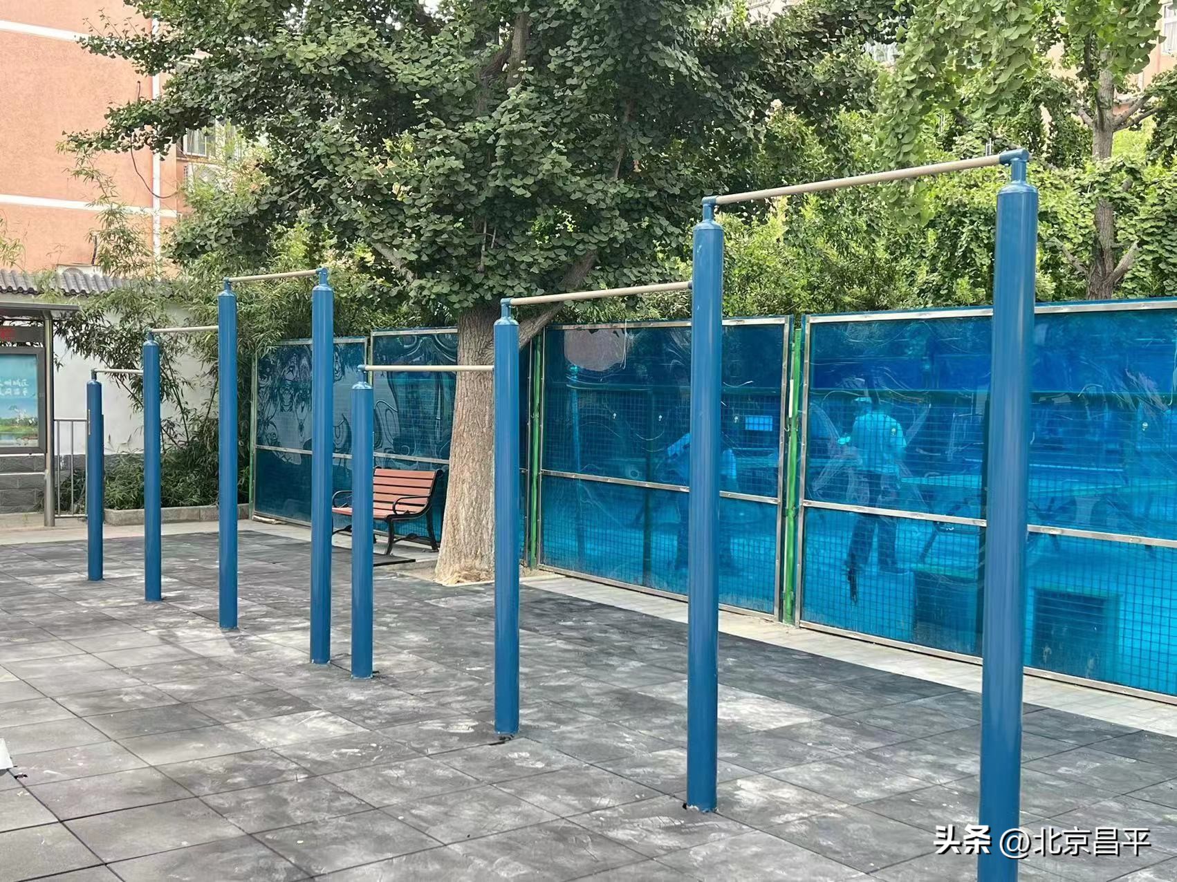 作风建设年丨昌平区体育局：接诉即办提质增效，群众健身满意度直线上升