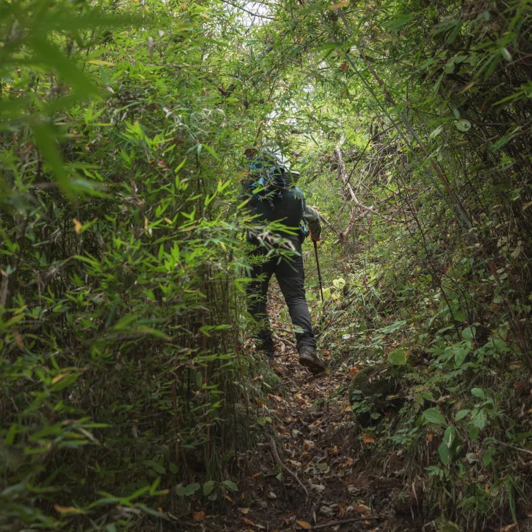 登太白山感受,太白山景区登顶拔仙台