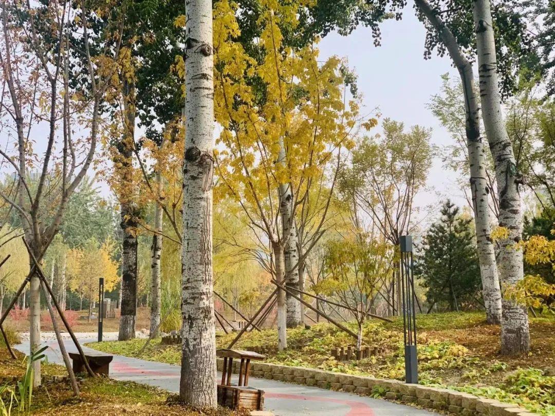 丰台的秋景大片，等您来定格！