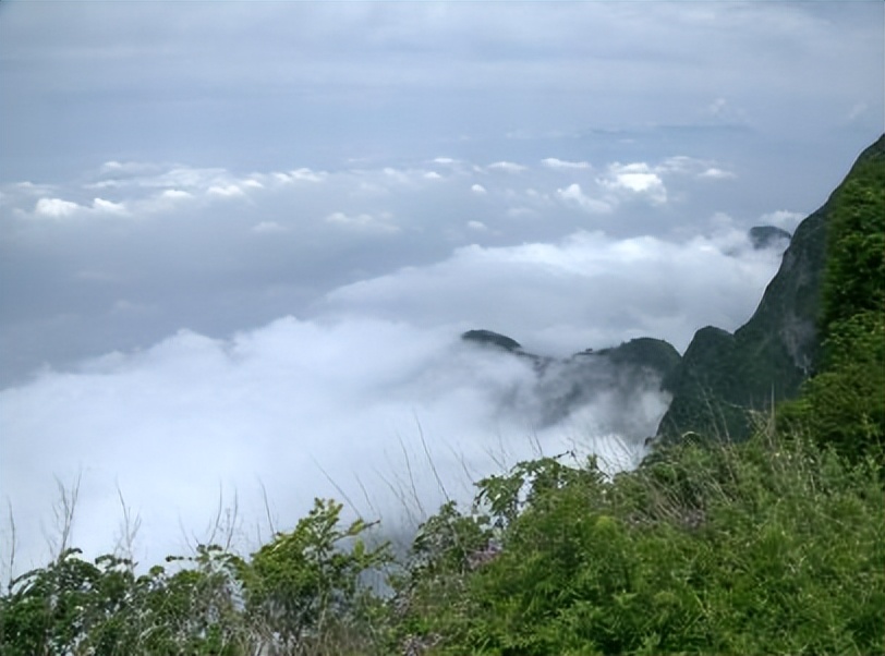 宸濊埅瑙佽瘉濂囪抗,宸濊涔嬫梾